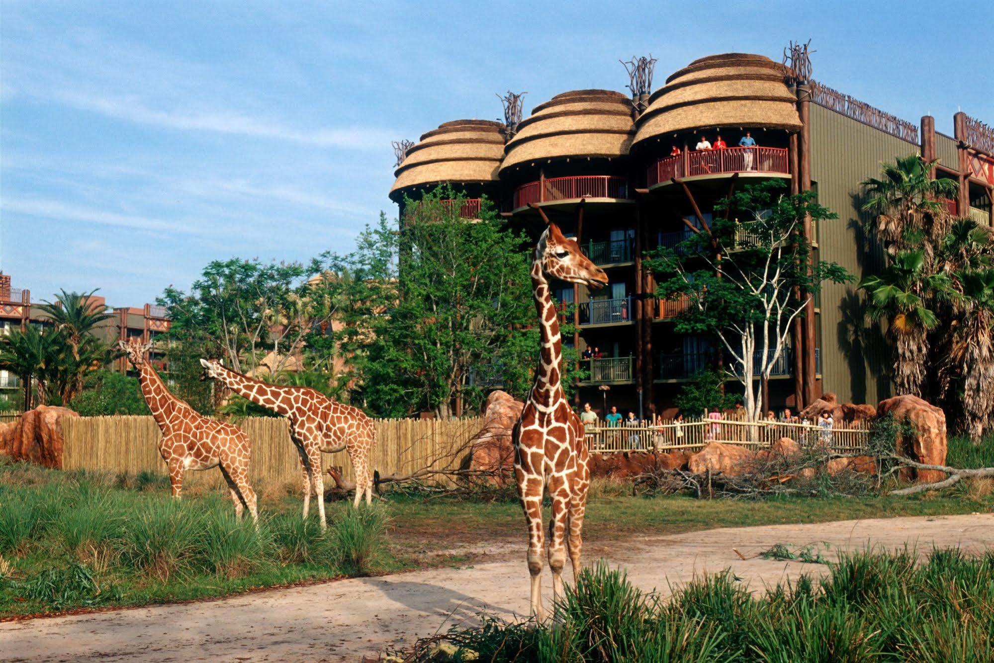 Disney'S Animal Kingdom Villas - Kidani Village Lake Buena Vista Luaran gambar